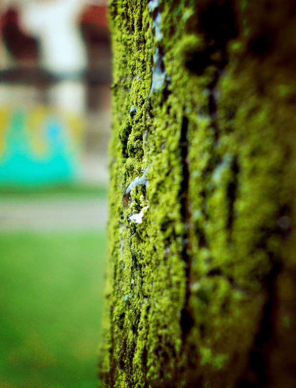 ... ����� ���