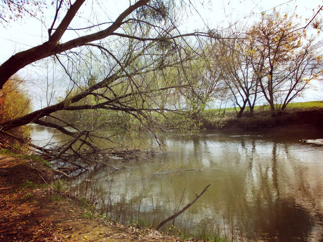 ... ����� ���