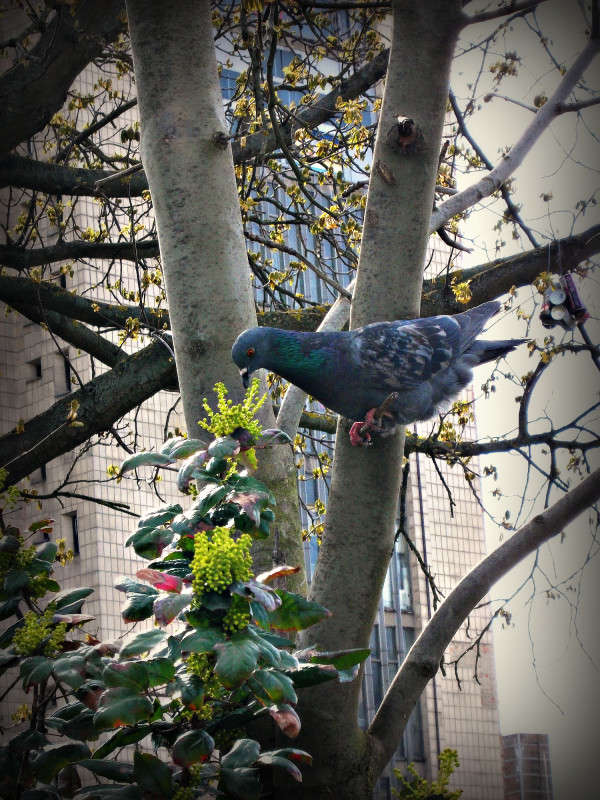 ... ����� ���