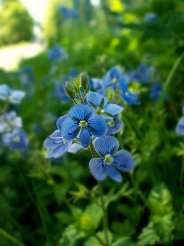 ... ����� ���