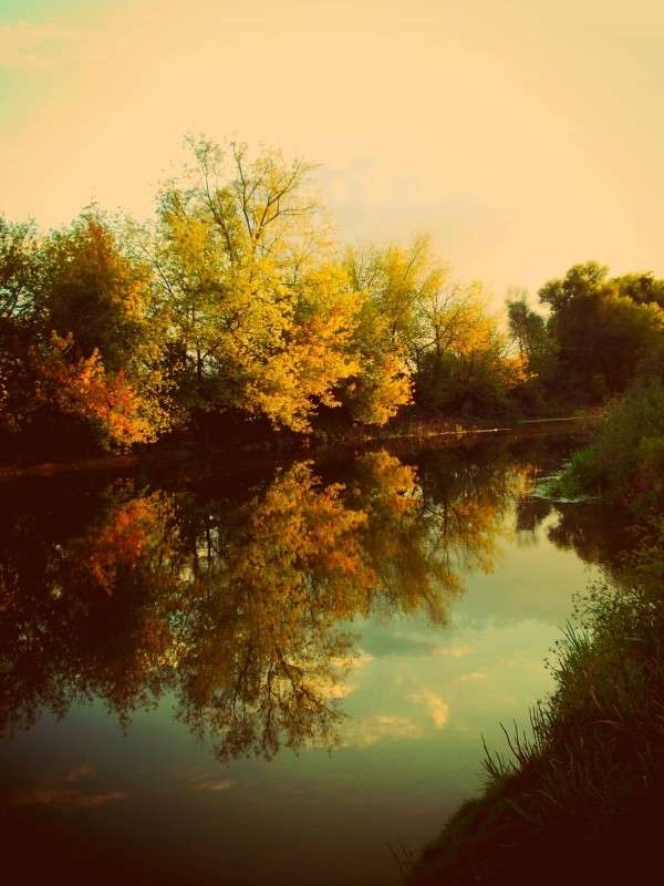 ... ����� ���