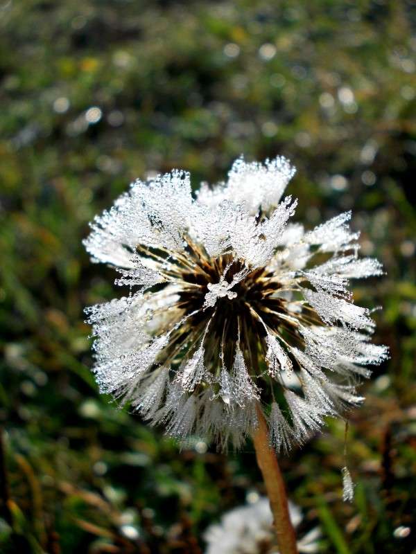 ... ����� ���