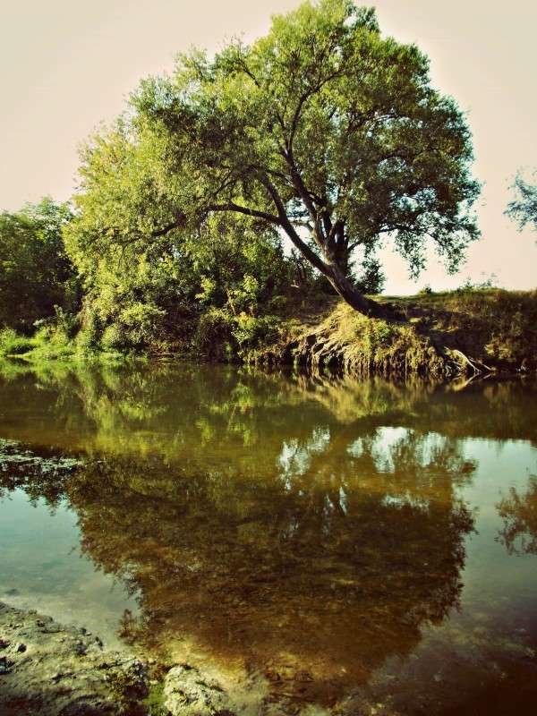 ... ����� ���