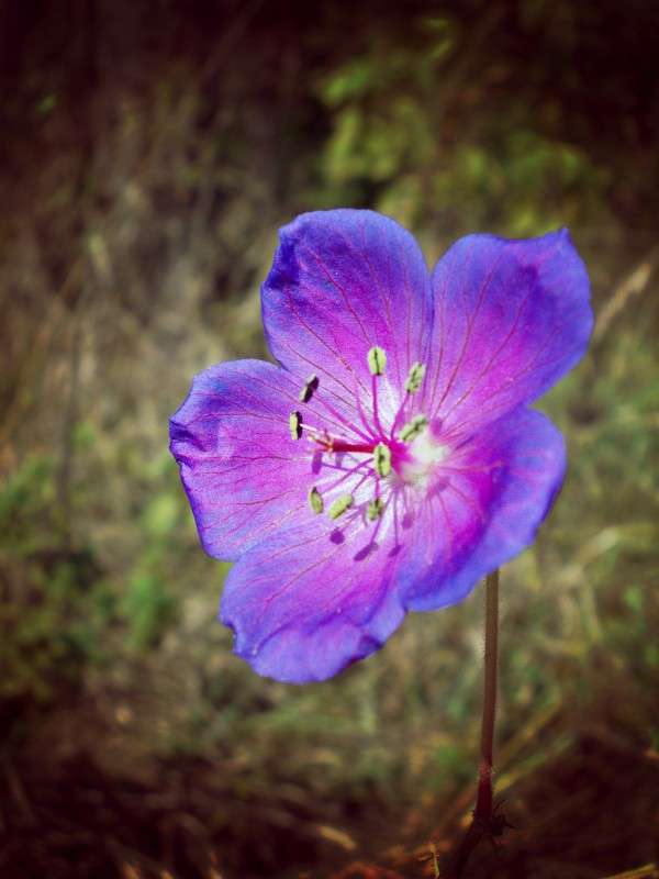 ... ����� ���