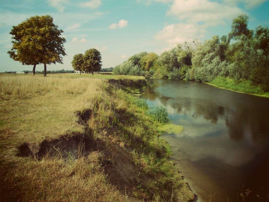 ... ����� ���