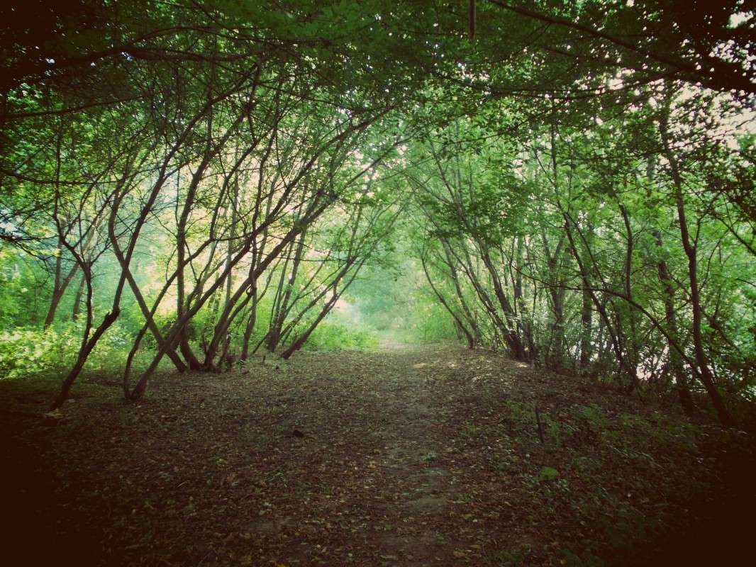 ... ����� ���