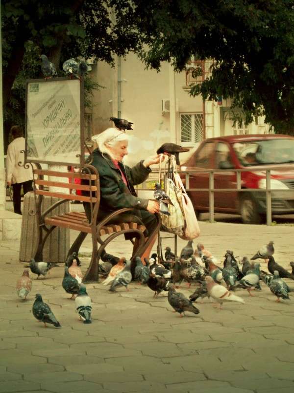 ... ����� ���