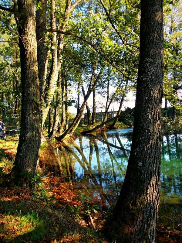 ... ����� ���