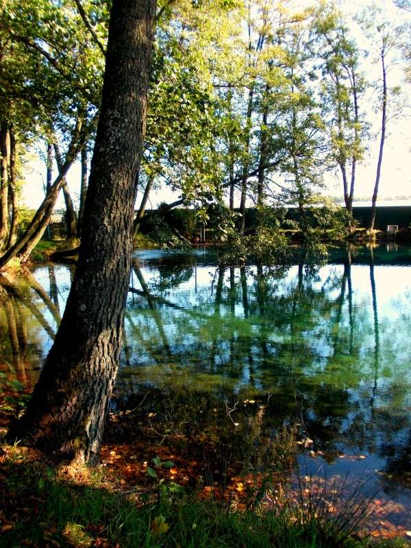 ... ����� ���