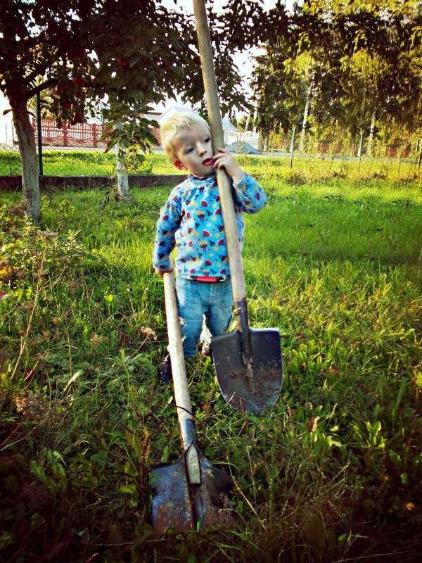 ... ����� ���