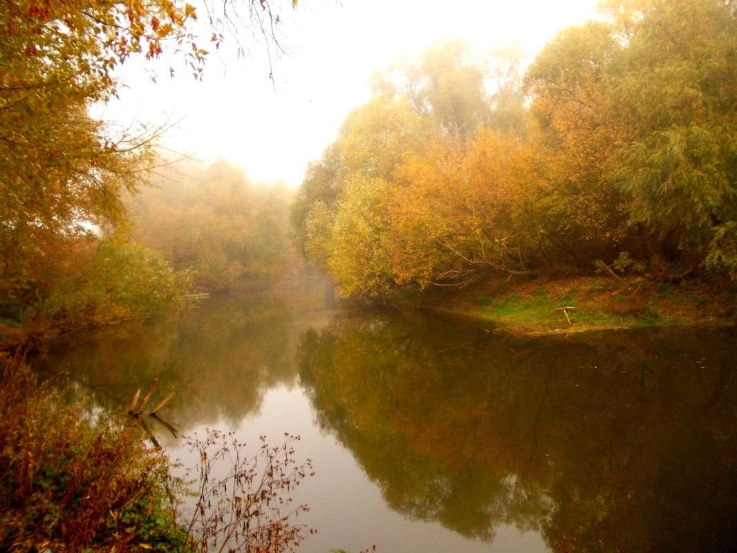 ... ����� ���