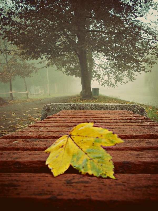 ... ����� ���