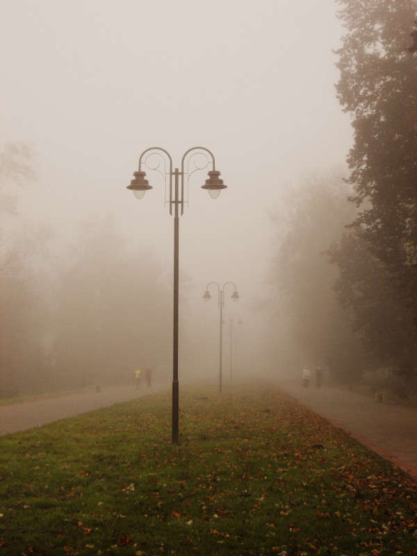 ... ����� ���