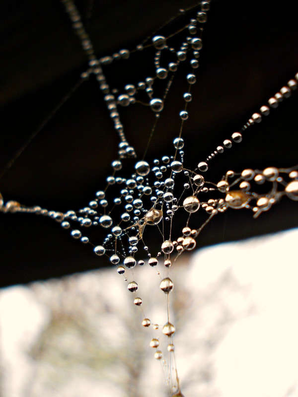 ... ����� ���