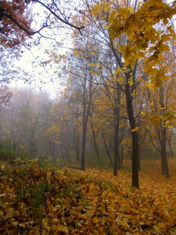 ... ����� ���