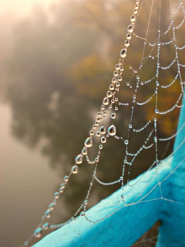 ... ����� ���