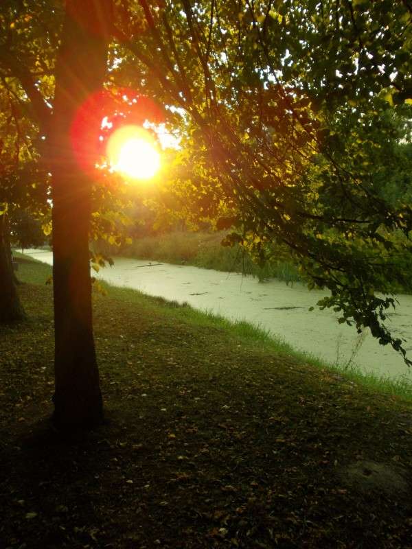 ... ����� ���