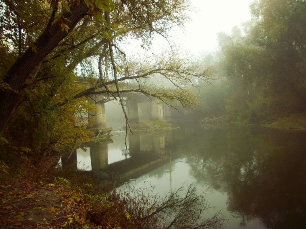 ... ����� ���