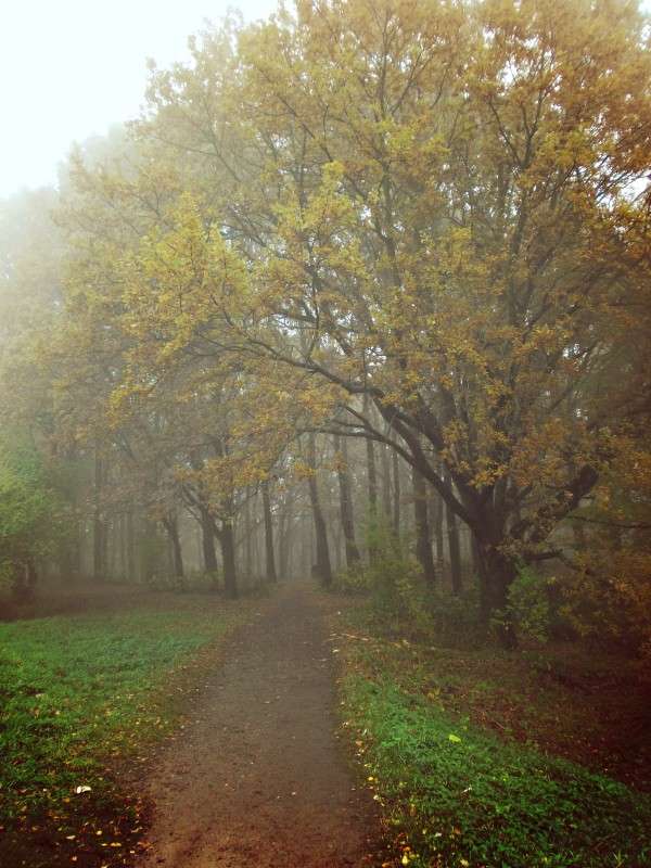 ... ����� ���