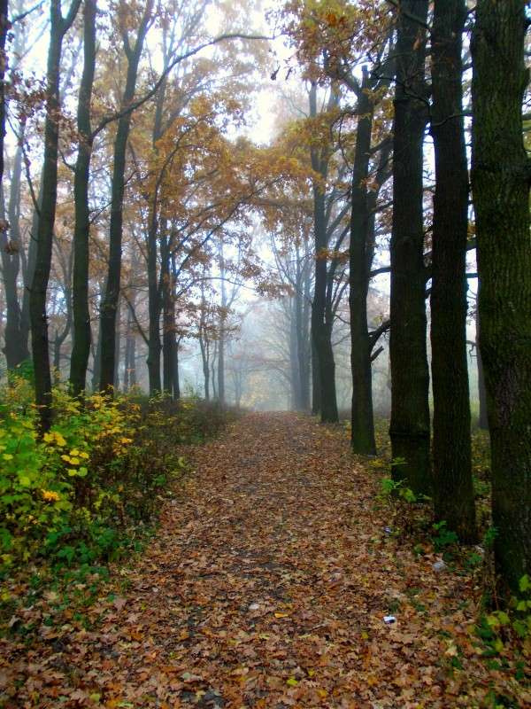 ... ����� ���