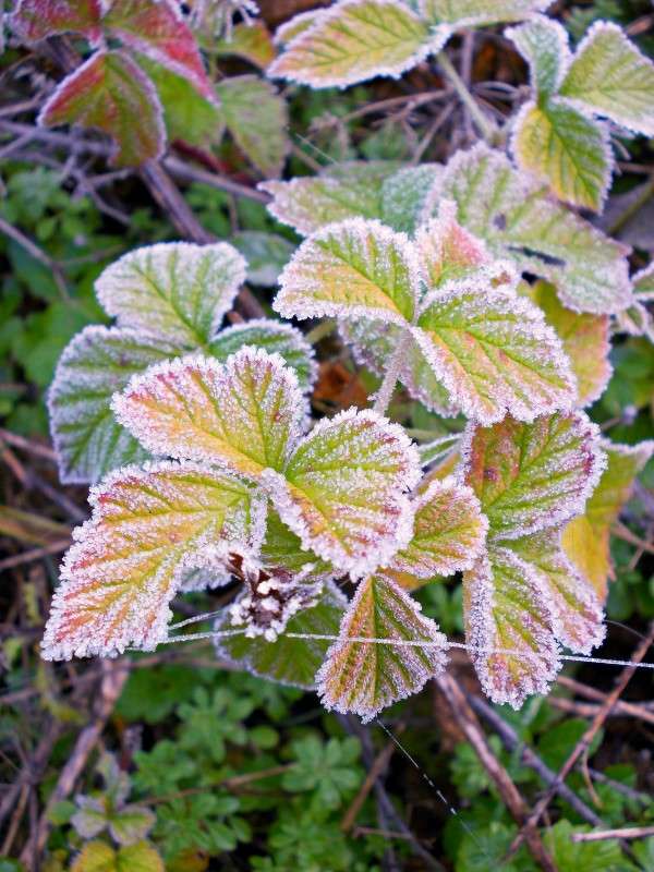 ... ����� ���