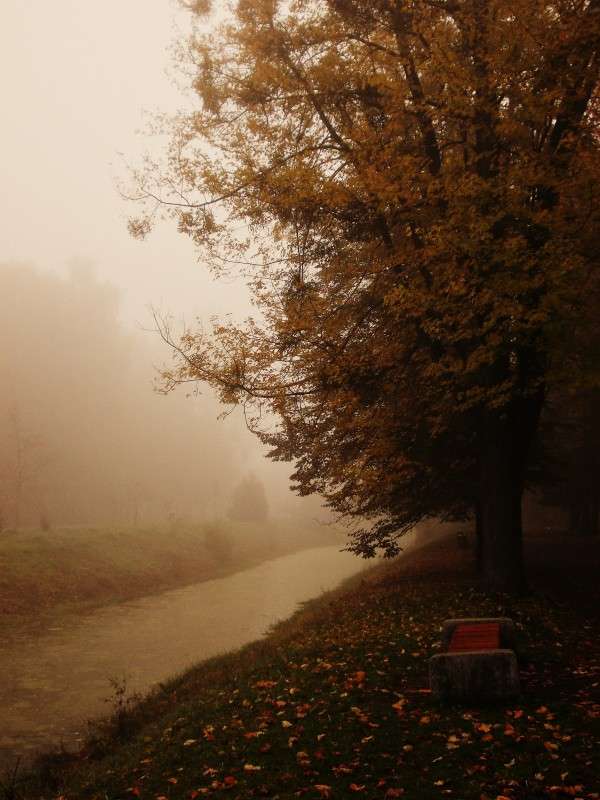 ... ����� ���