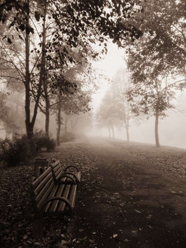 ... ����� ���