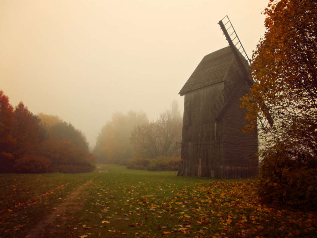 ... ����� ���