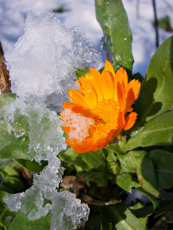 ... ����� ���