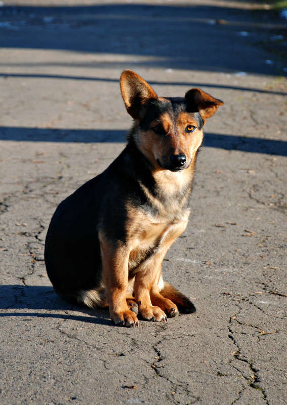 ... ����� ���