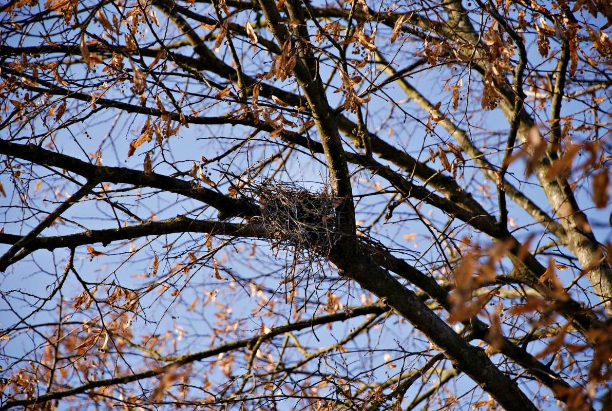 ... ����� ���