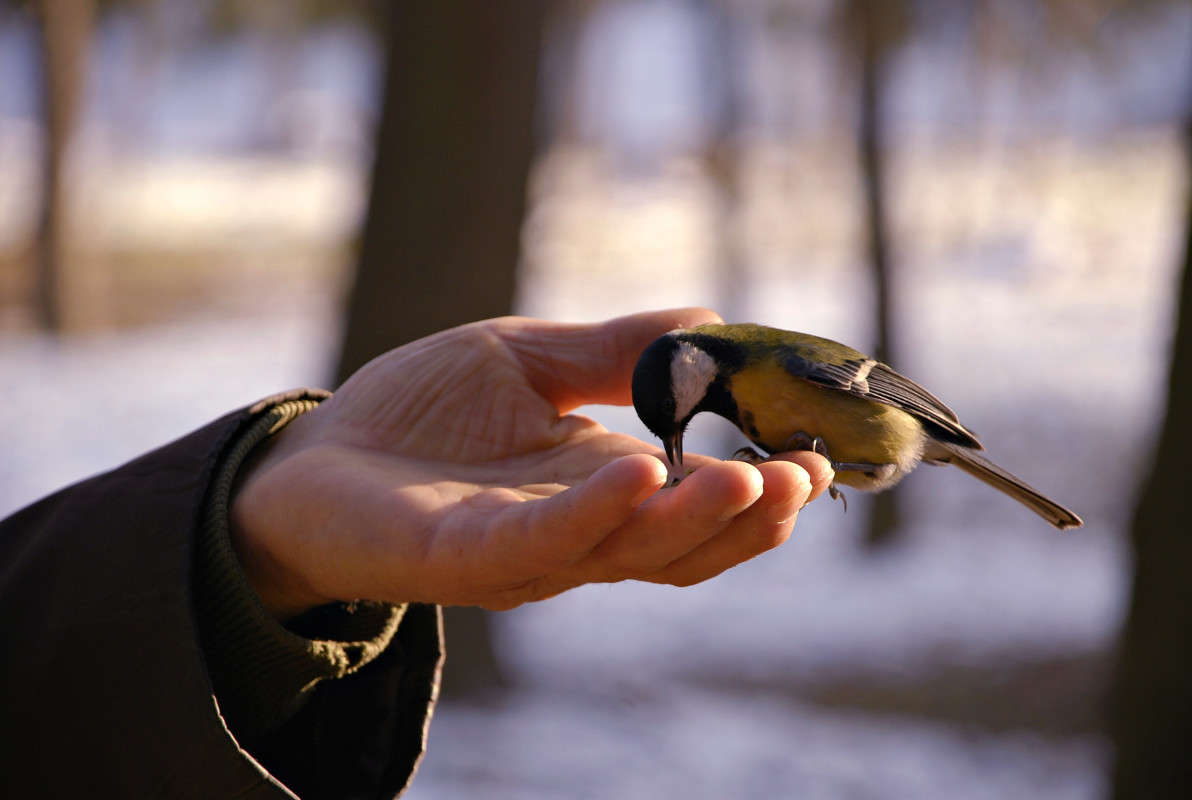 ... ����� ���