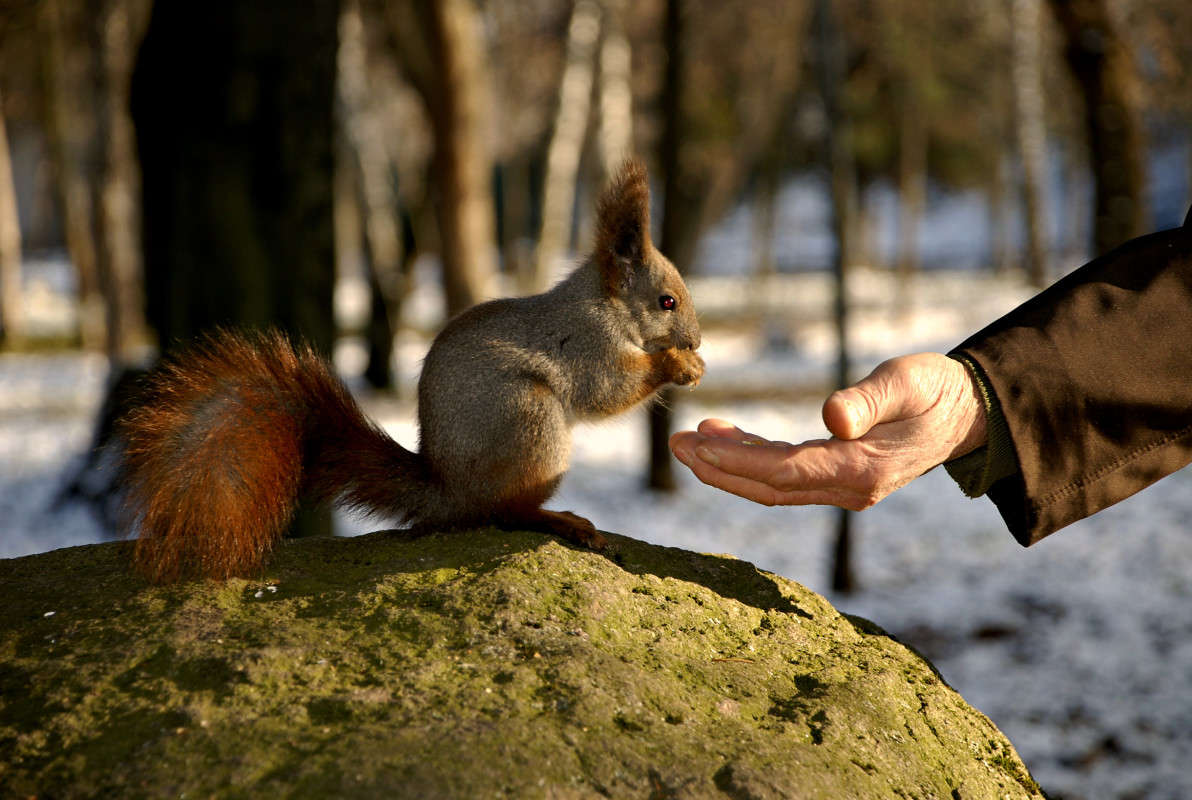 ... ����� ���