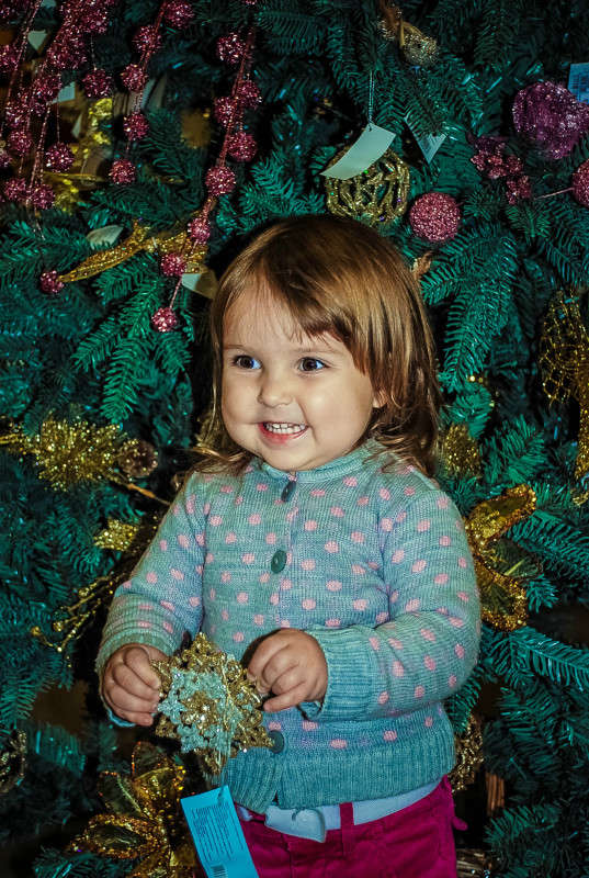 ... ����� ���