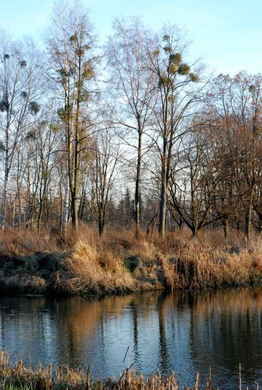 ... ����� ���