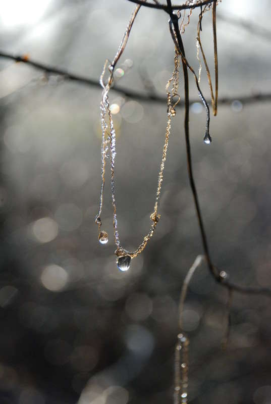 ... ����� ���