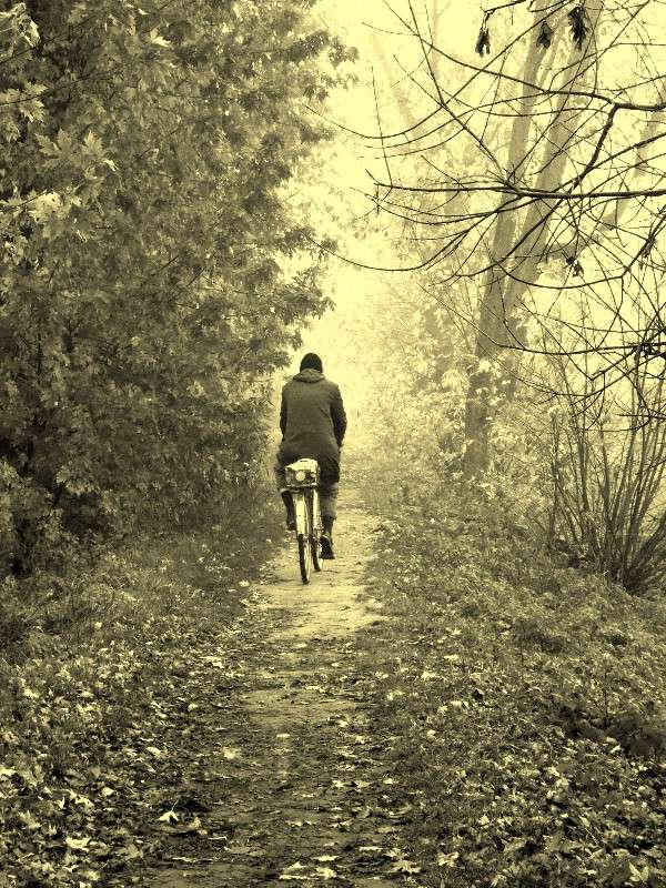 ... ����� ���