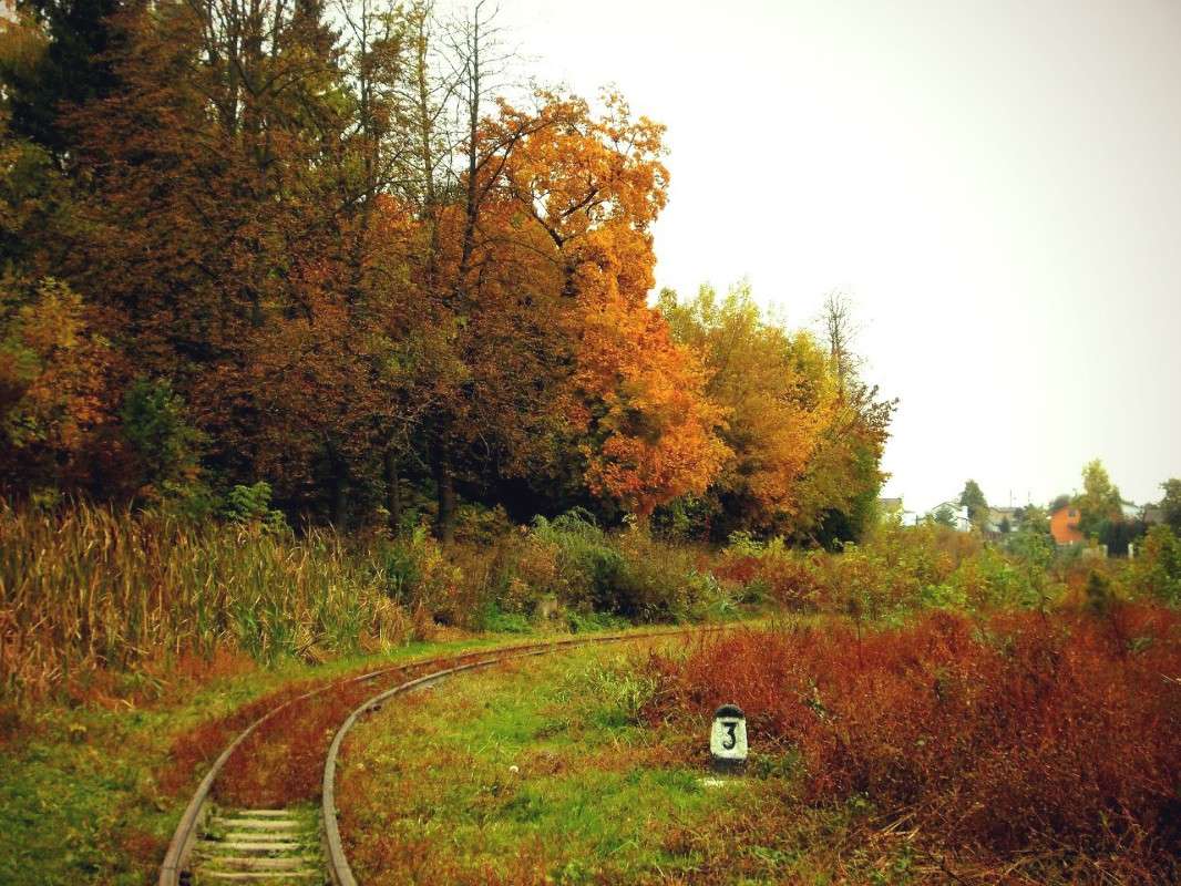 ... ����� ���