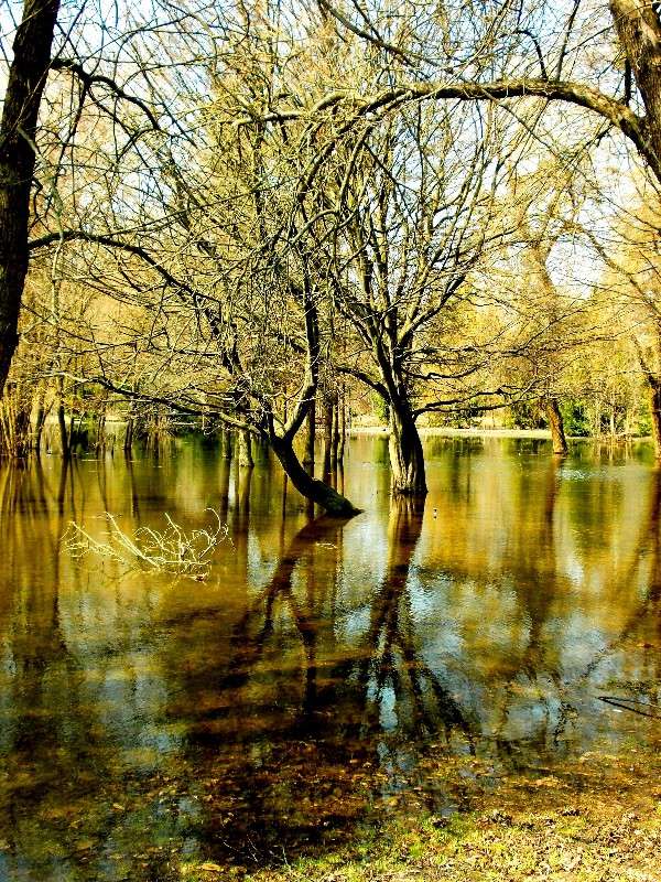 ... ����� ���