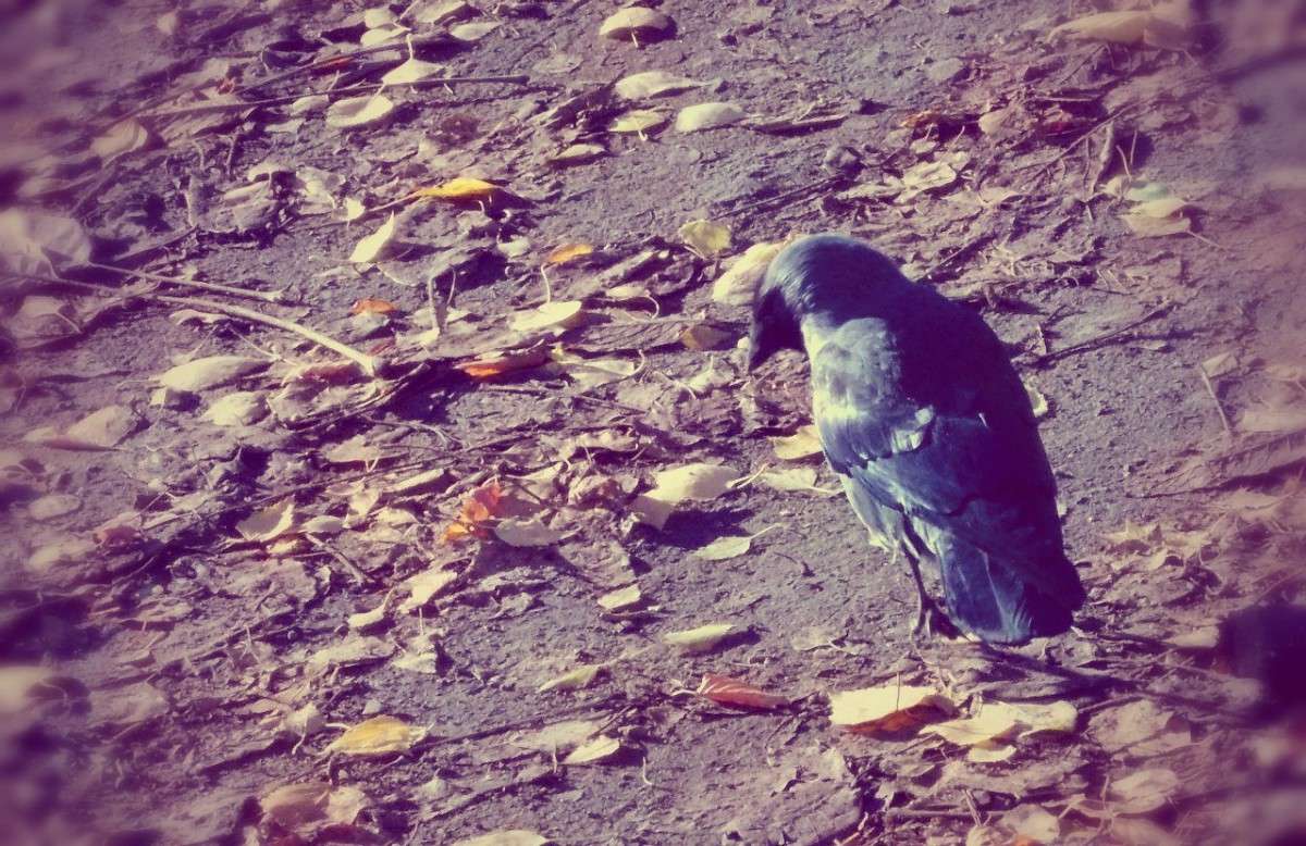 ... ����� ���