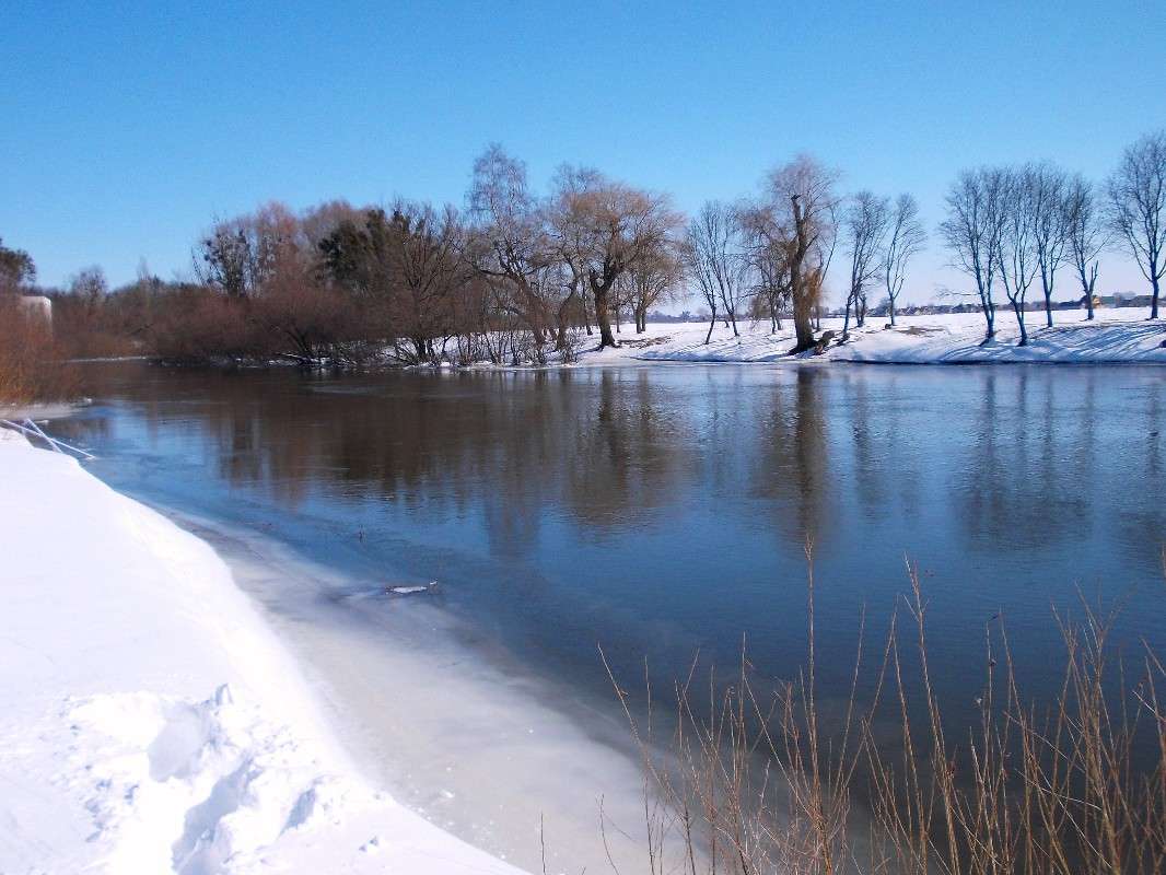 ... ����� ���