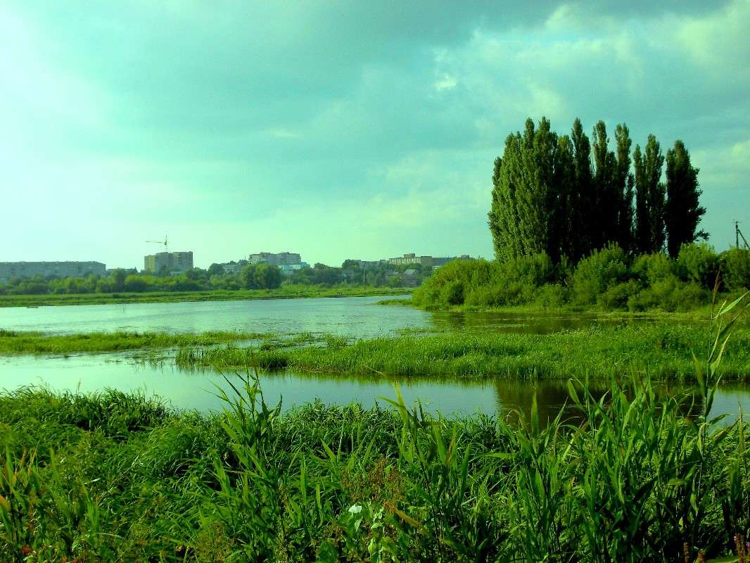 ... ����� ���