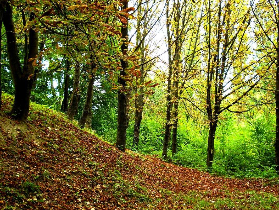 ... ����� ���