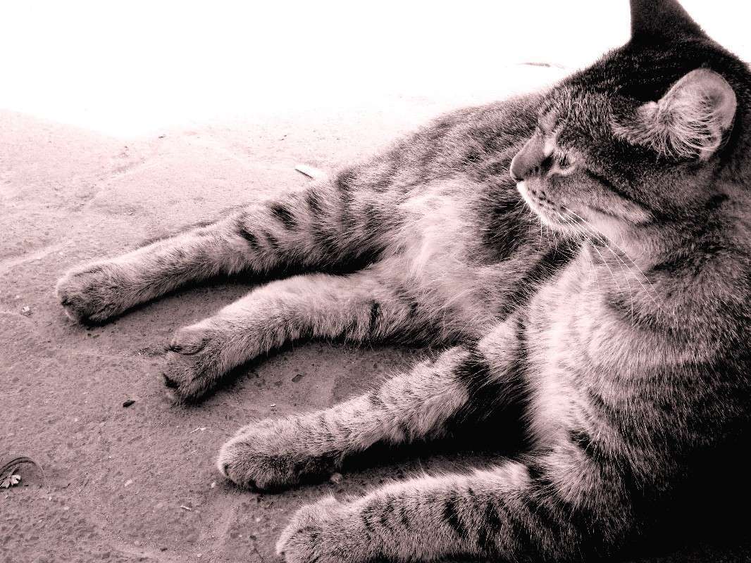 ... ����� ���