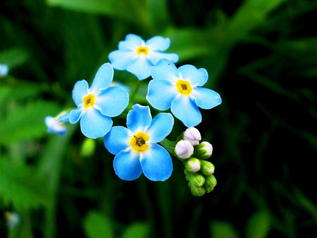 ... ����� ���