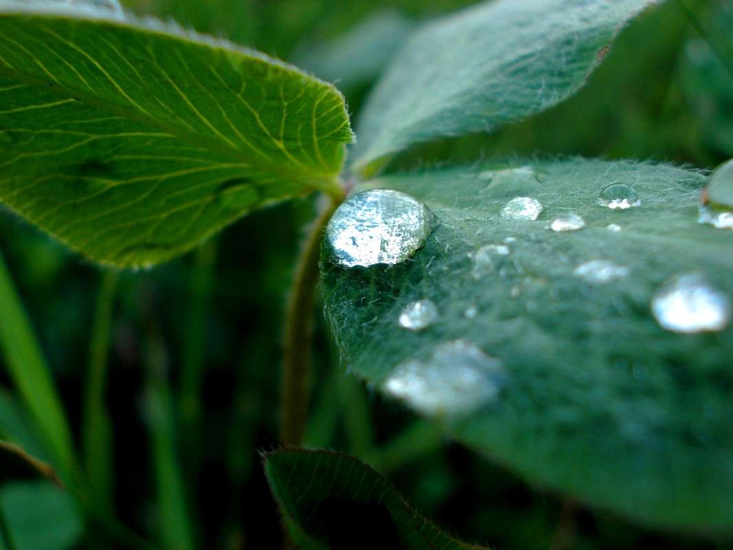 ... ����� ���