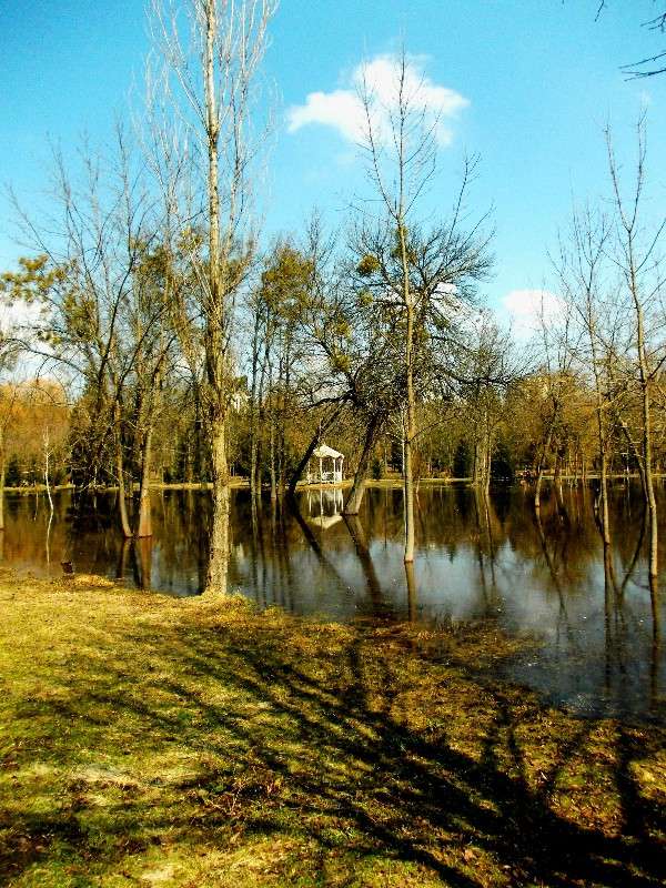 ... ����� ���