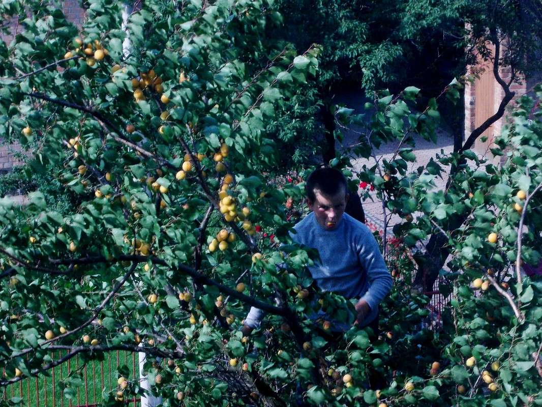 ... ����� ���