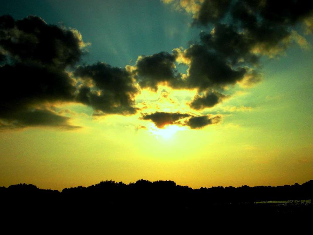 ... ����� ���