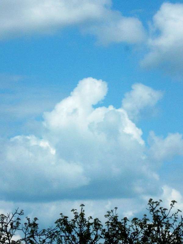 ... ����� ���